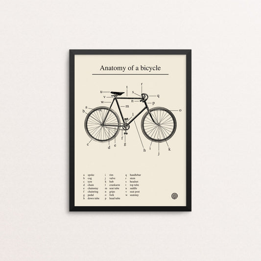 Anatomy of a bicycle - Open Edition